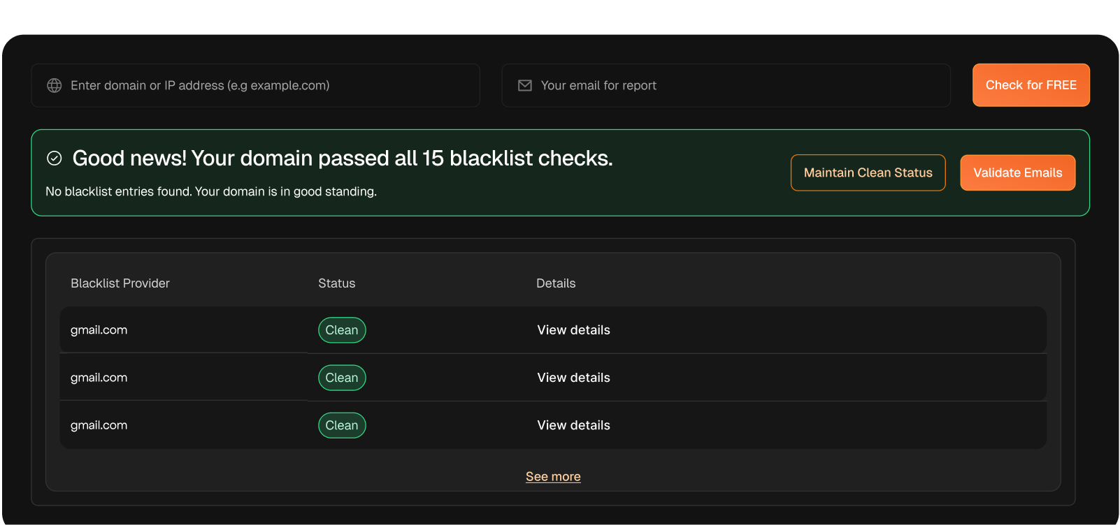 Domain Health Checker photo